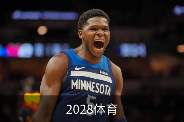 关于2028体育